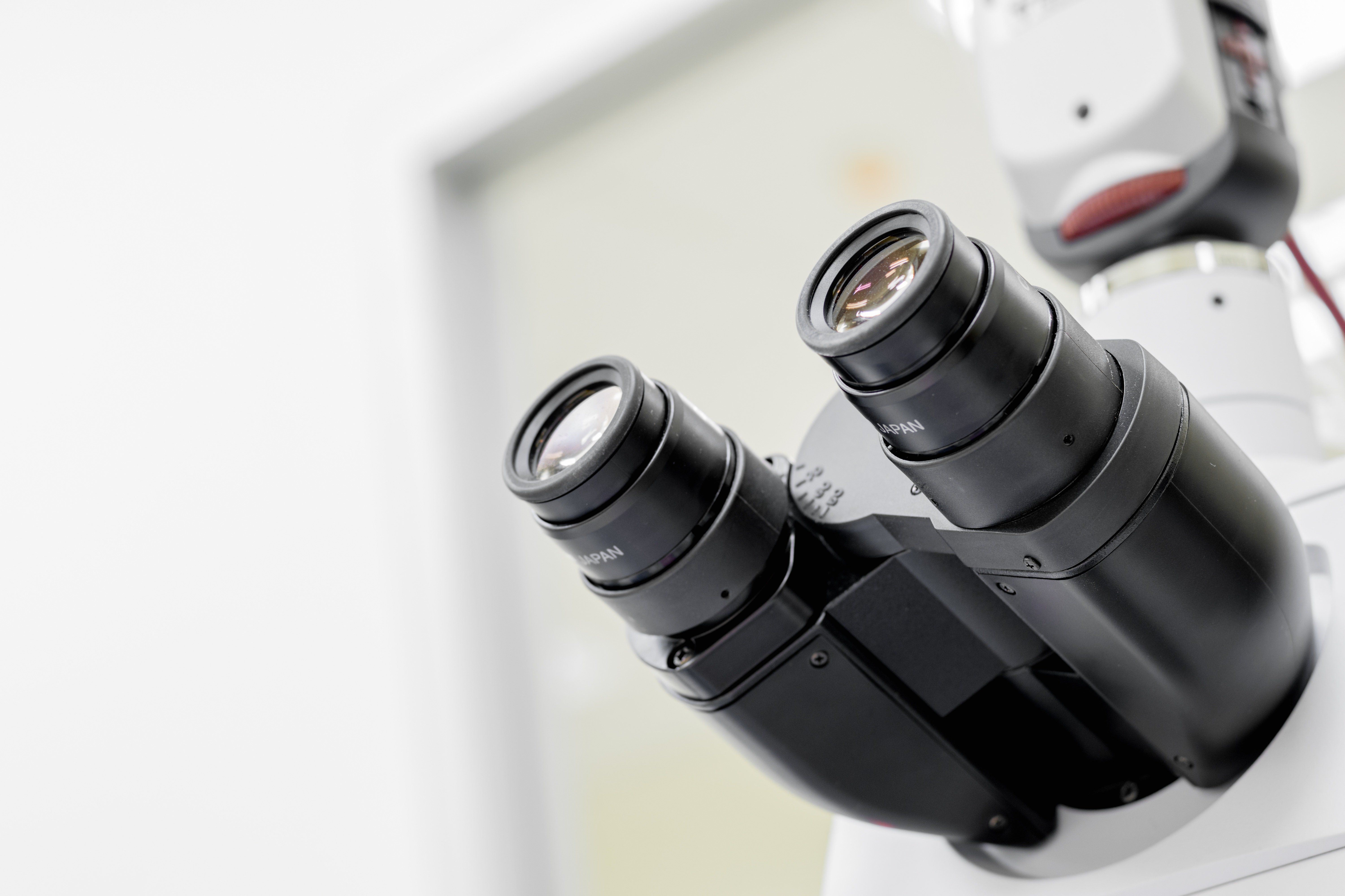 Microscopio, Zeiss, Microscopia, 